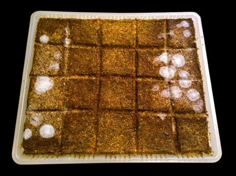 Spoiled homemade bread Stock Photos