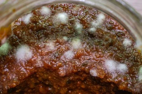 Spoiled jam covered with mold Stock Photos