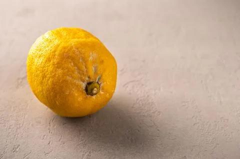 Spoiled lemon on a light background. Vegetables with mold. Improper storage of Stock Photos