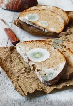 Spoiled moldy bread Stock Photos