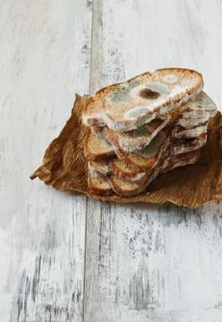 Spoiled moldy bread Stock Photos