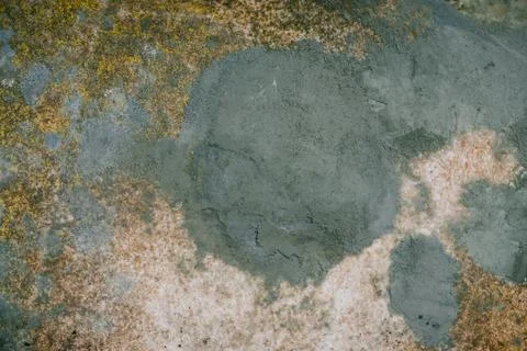 Spoiled moldy old bread with yellow and green spores of fungus closeup. Macro Stock Photos