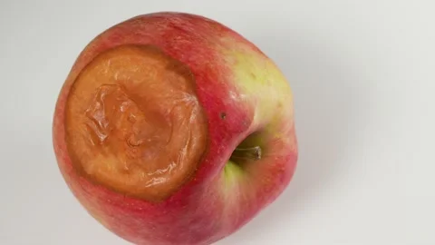 Spoiled rotten organic apple on white ba... | Stock Video | Pond5