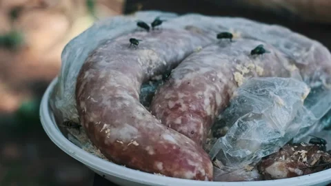 Spoiled Sausages on a Plate Stock Footage 283924267