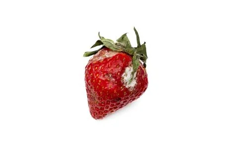 Spoiled strawberries Foto stock