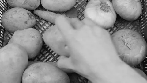 Spoiled vegetables. Box with vegetables black and white monochrome colorless Stock Footage 194288815