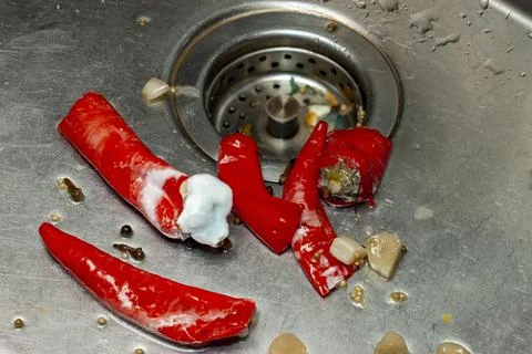 Spoiled vegetables in a kitchen sink 写真素材