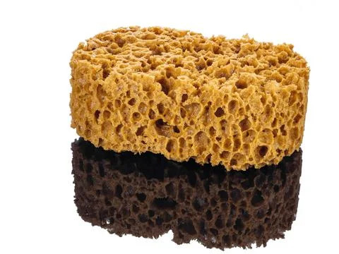 Sponge for abstract decor effect isolated on white Stock Photos