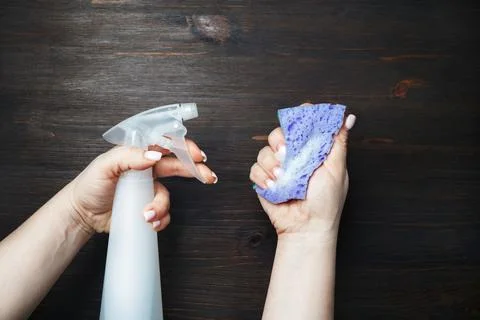 Sponge and detergent sprayer Stock Photos