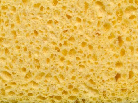 Sponge background Foto stock