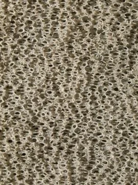 Sponge background 스톡 사진