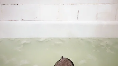 Sponge in bath with foam. 10 Stock Footage 98251505