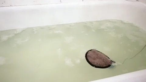 Sponge in bath with foam. 14 Stock Footage 98251483