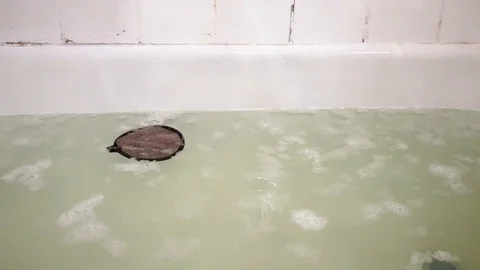 Sponge in bath with foam. 17 Stock Footage 98251449