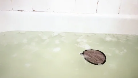 Sponge in bath with foam. 20 Stock Footage 98251433