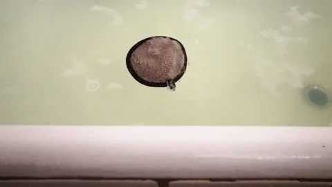Sponge in bath with foam. 4 Stock Footage 98251560