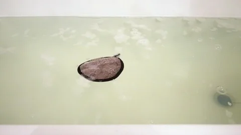 Sponge in bath with foam. 5 Stock Footage 98251553