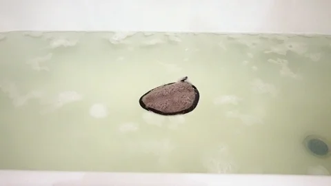 Sponge in bath with foam. 9 Stock Footage 98251521