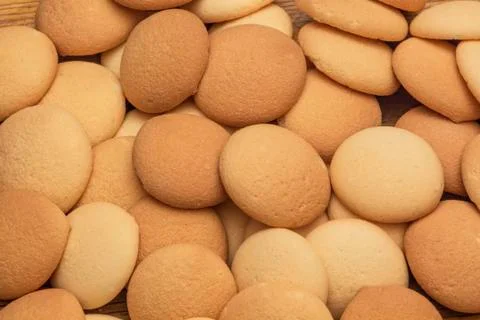 Sponge biscuits Stock Photos