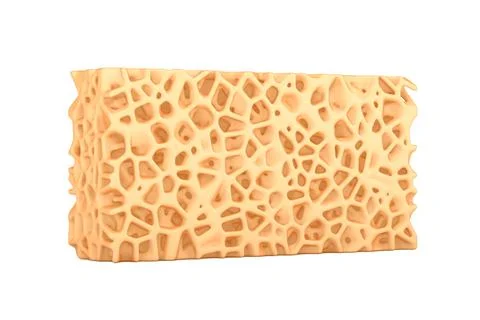 Sponge Bone Structure Medical Texture Block. 3d Rendering Stock Illustration
