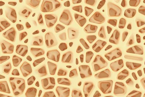 Sponge Bone Structure Medical Texture Background. 3d Rendering Stock Illustration