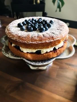 Sponge cake with blueberries Stock Photos