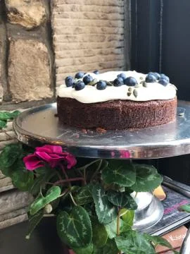 Sponge cake with blueberries Stock Photos