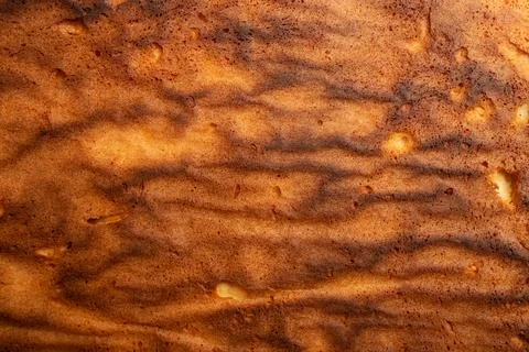 Sponge cake bottom texture, abstract culinary backdrop Stock Photos