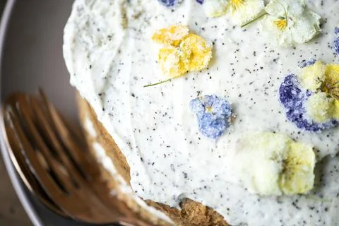 Sponge cake decorated with violets Stock Photos
