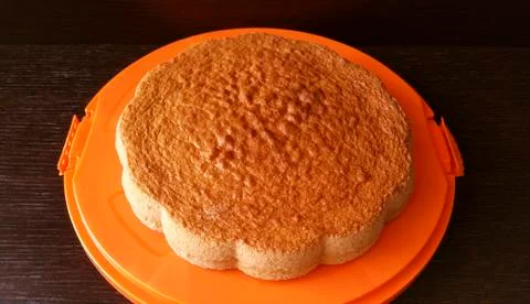 Sponge cake on orange tray Stock Photos