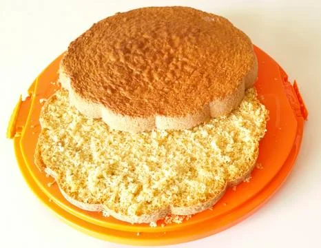 Sponge cake on orange tray Stock Photos