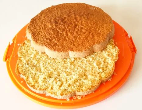 Sponge cake on orange tray Stock Photos