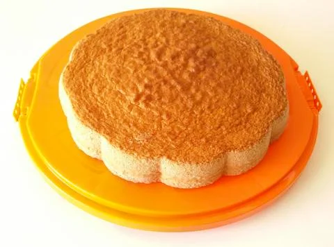 Sponge cake on orange tray Stock Photos