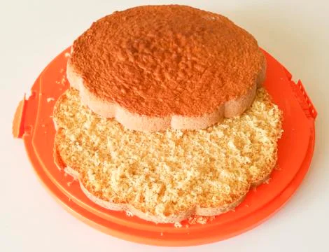 Sponge cake on orange tray Stock Photos