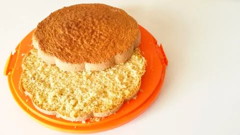 Sponge cake on orange tray Stock Photos