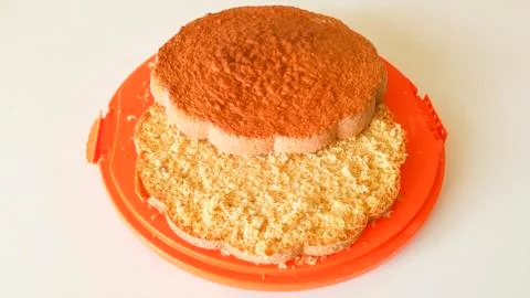Sponge cake on orange tray Stock Photos