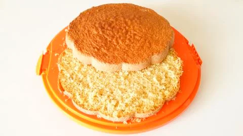 Sponge cake on orange tray Stock Photos