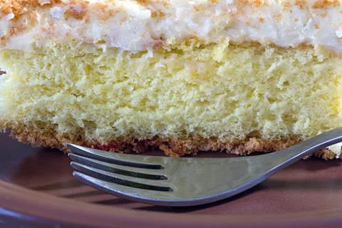 Sponge cake Stock Photos