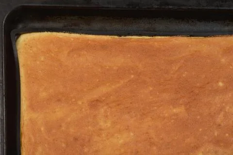 Sponge cake Stock Photos