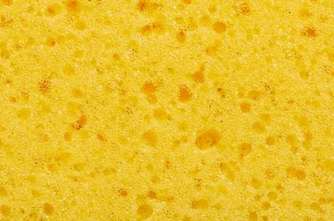 Sponge close up Stock Photos