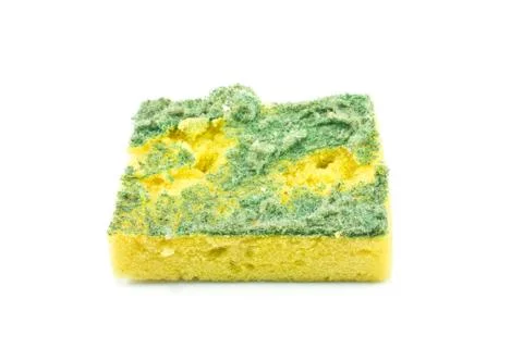 Sponge dirty on white background Stock Photos