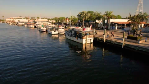 Sponge Docks 스톡 동영상 252158605