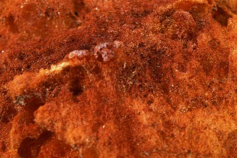 Sponge Effect Texture Stock Photos