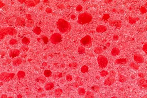 Sponge foam red texture close-up, abstract pattern photo Stock Photos