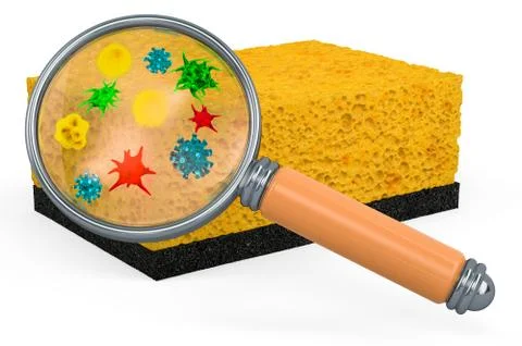 Sponge with germs and bacterias under magnifying glass. 3D rendering Stock Illustration
