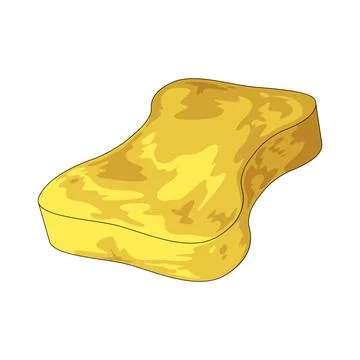 Sponge illustration Illustration