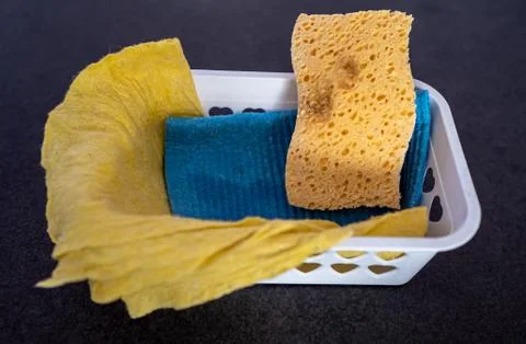 Sponge. Not Bob. Stock Photos