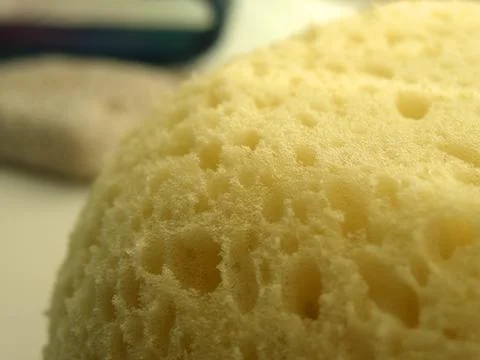 Sponge Stock Photos