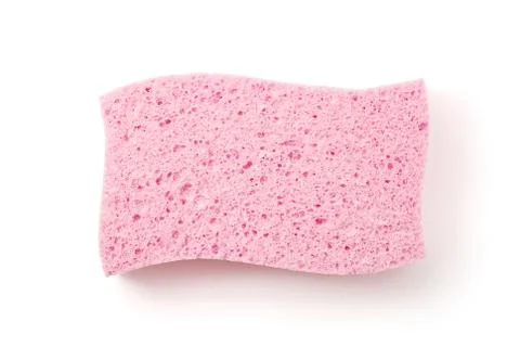 Sponge Stock Photos