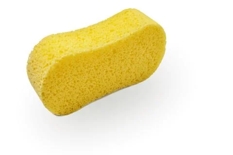 Sponge Stock Photos